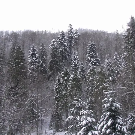 Kwatera prywatna Hołdysówka Przy Gondoli Szczyrk