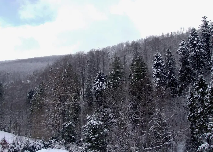 Holdysowka Przy Gondoli * Szczyrk