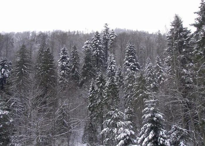 Kwatera prywatna Hołdysówka Przy Gondoli Szczyrk